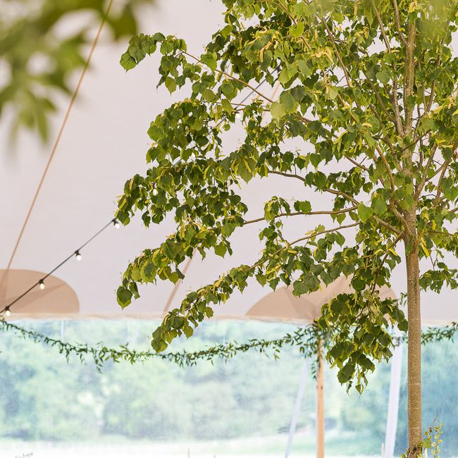 Rustic Soho Farmhouse Ceremony with PapaKata Sperry Tent Greenery filled Reception | Marianne Taylor Photography | Will Warr Films