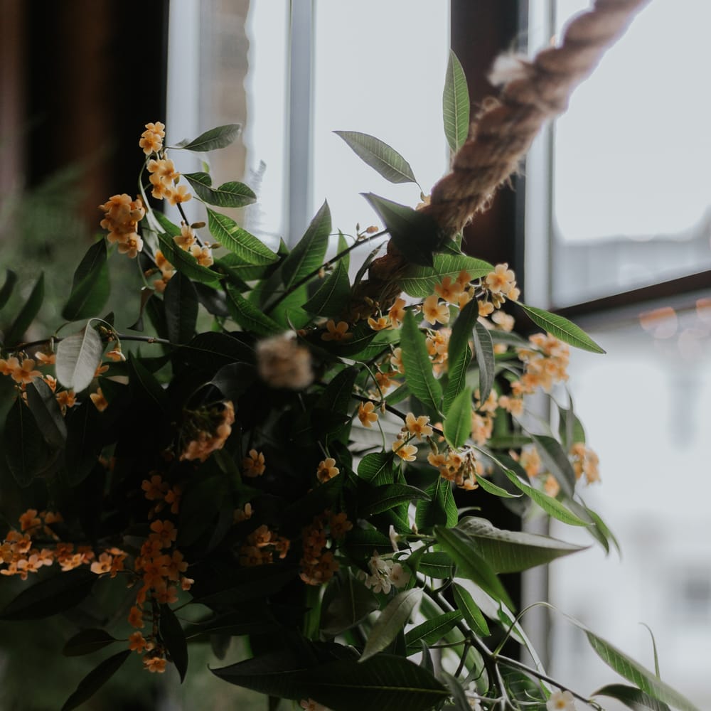 Relaxed Foodie Wedding At Brixton East Dita Rosted Events Worm London Floral Design // Image By Luis Calow Photography