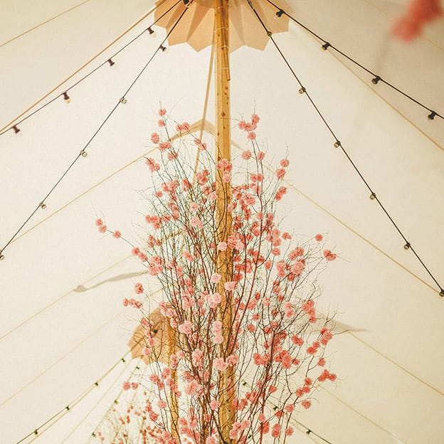 Sperry Tent Wedding PapaKata