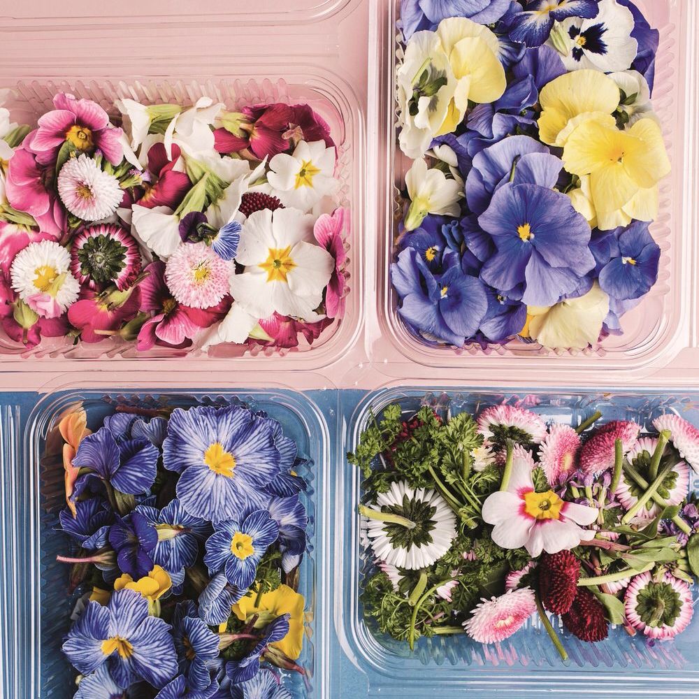 Plant Based Wedding Cakes with Bee's Bakery