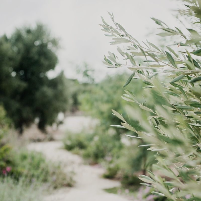 Masseria Moroseta Puglia Wedding Venue