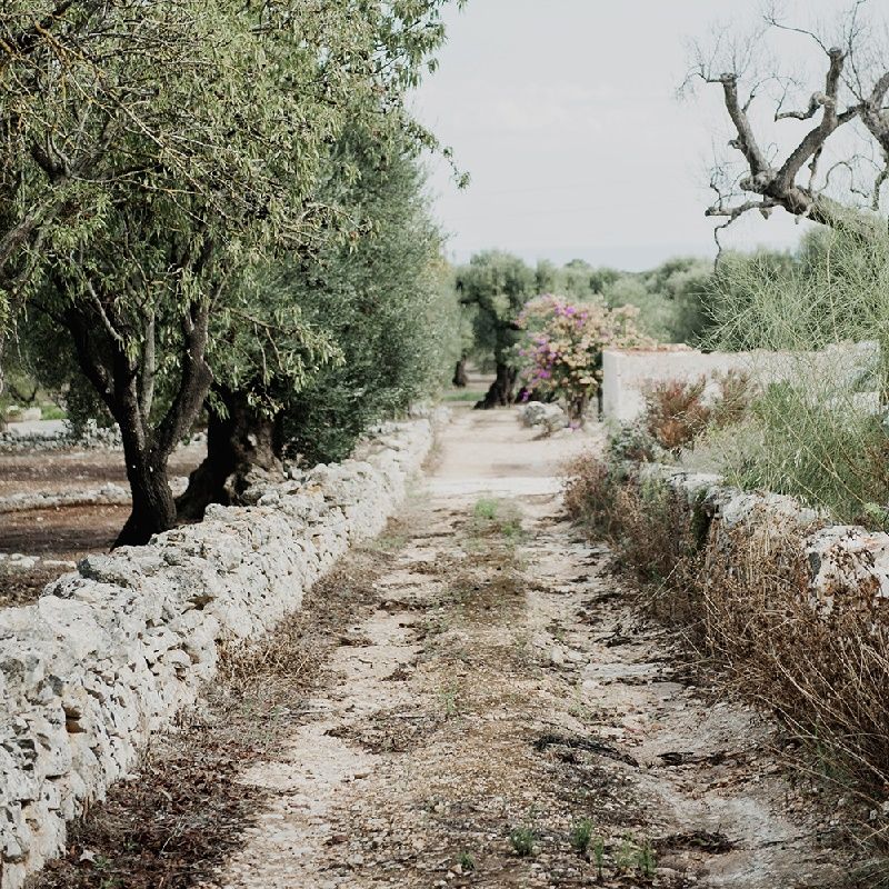 Masseria Moroseta Puglia Wedding Venue