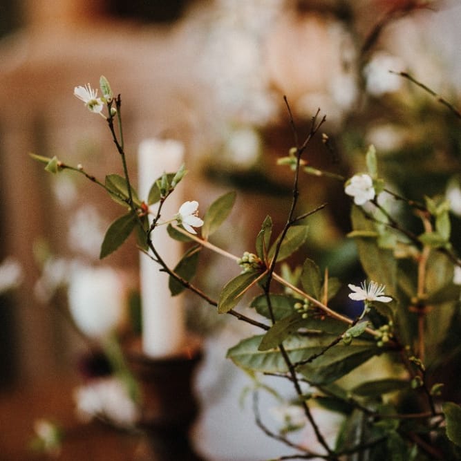 Botanical Bride Inspiration Shoot At The Botanist In Sheffield