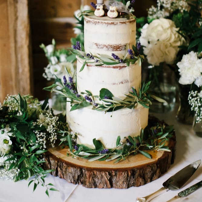 Semi Naked Wedding Cake With Caterpillar Cake Toppers