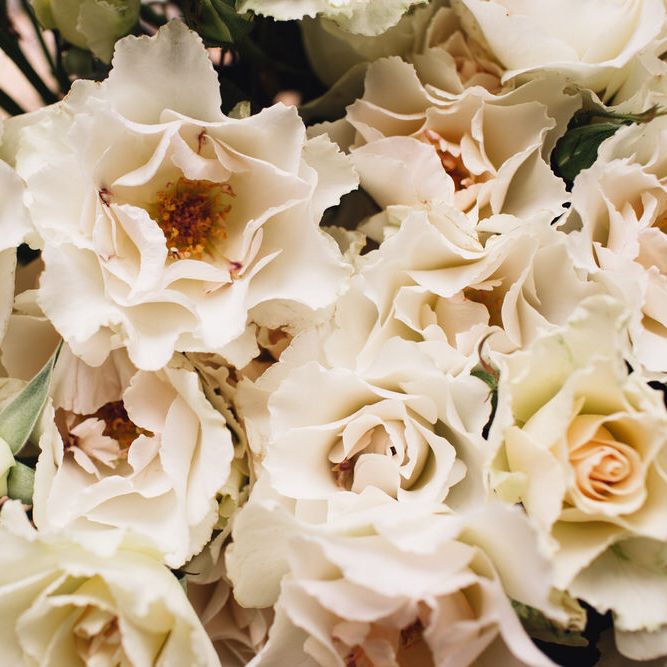Elegant & Minimal Autumnal Wedding Inspiration