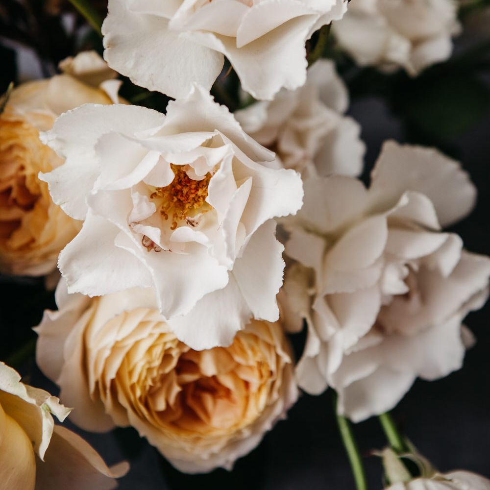 Elegant & Minimal Autumnal Wedding Inspiration
