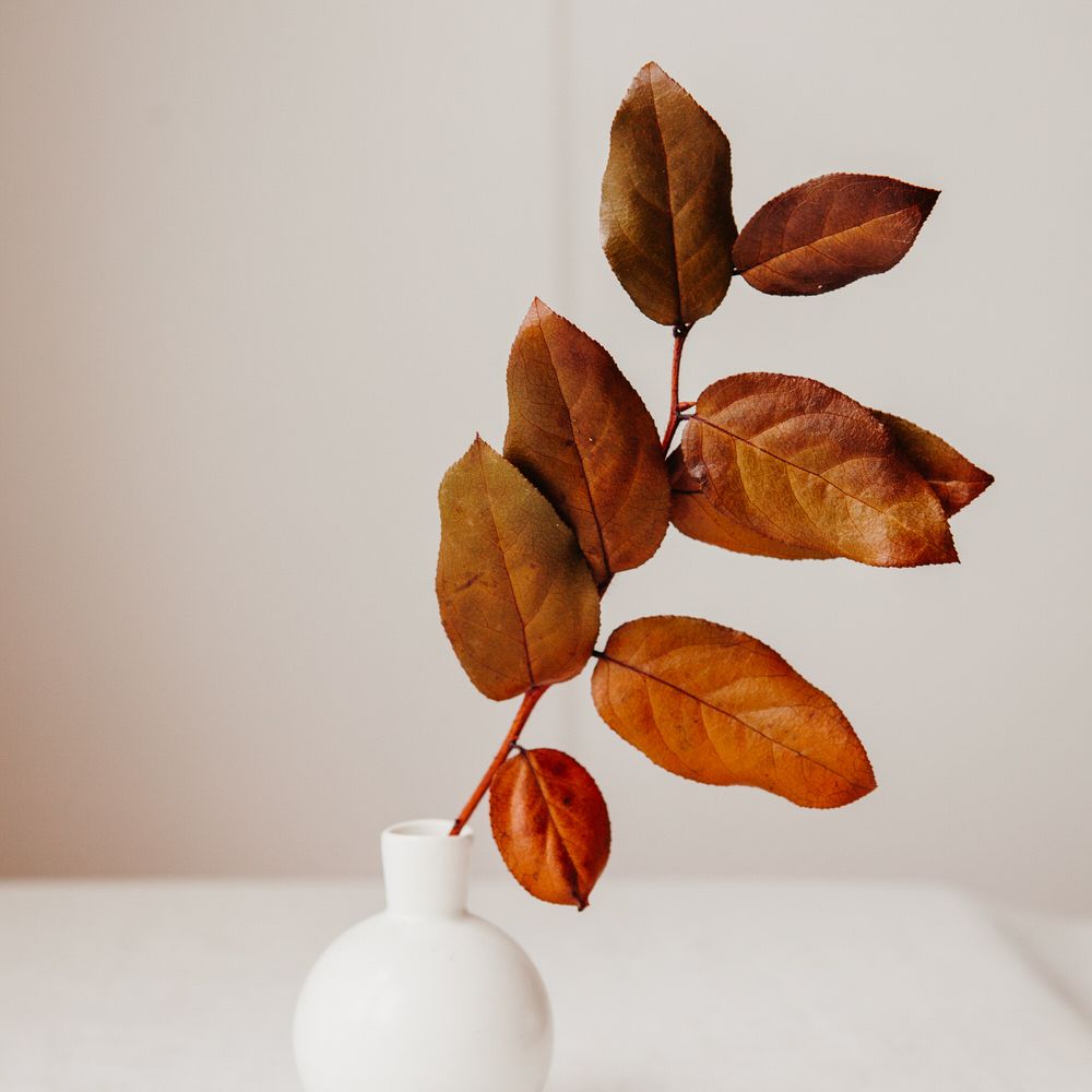 Elegant & Minimal Autumnal Wedding Inspiration