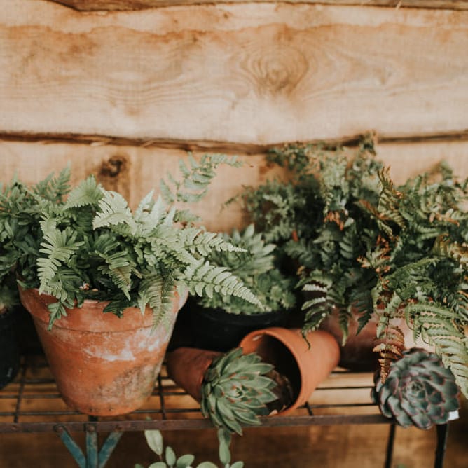 Greenery Plant Pot Wedding Decor | Outdoor Woodland Wedding at The Dreys in Kent | Fern Edwards Photography