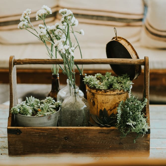 Succulents & Flower Stems in Jars Wedding Decor | Outdoor Woodland Wedding at The Dreys in Kent | Fern Edwards Photography