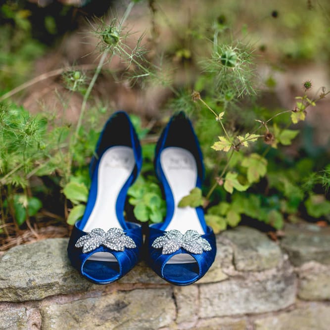Image by <a href="https://www.lisacarpenterphotos.com" target="_blank">Lisa Carpenter Photography</a>