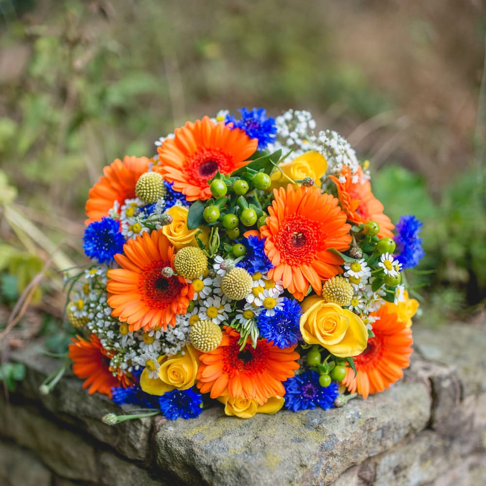 Image by <a href="https://www.lisacarpenterphotos.com" target="_blank">Lisa Carpenter Photography</a>