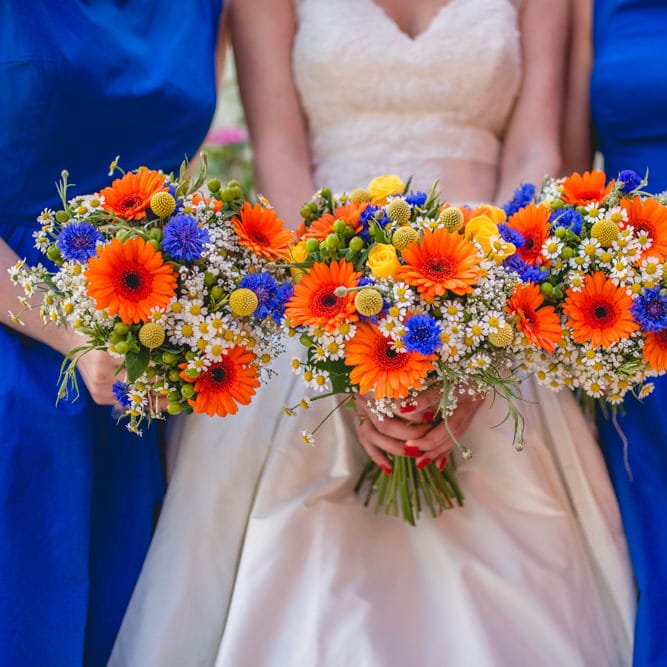 Image by <a href="https://www.lisacarpenterphotos.com" target="_blank">Lisa Carpenter Photography</a>