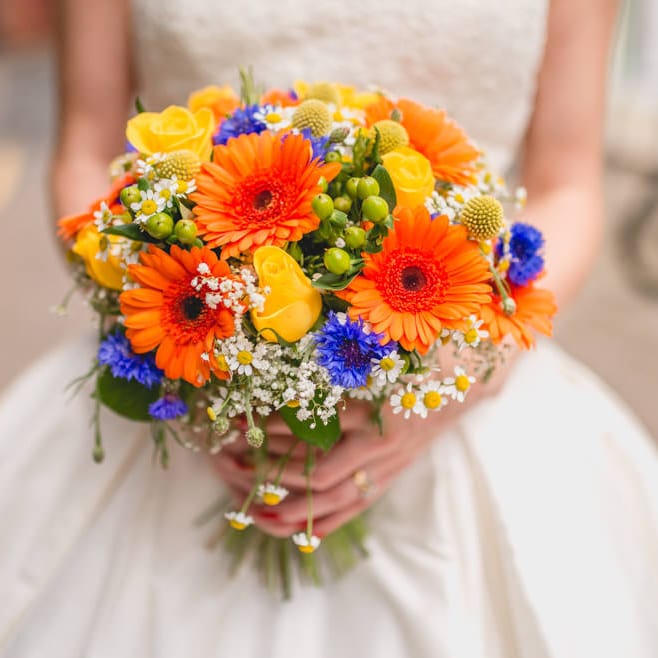 Image by <a href="https://www.lisacarpenterphotos.com" target="_blank">Lisa Carpenter Photography</a>