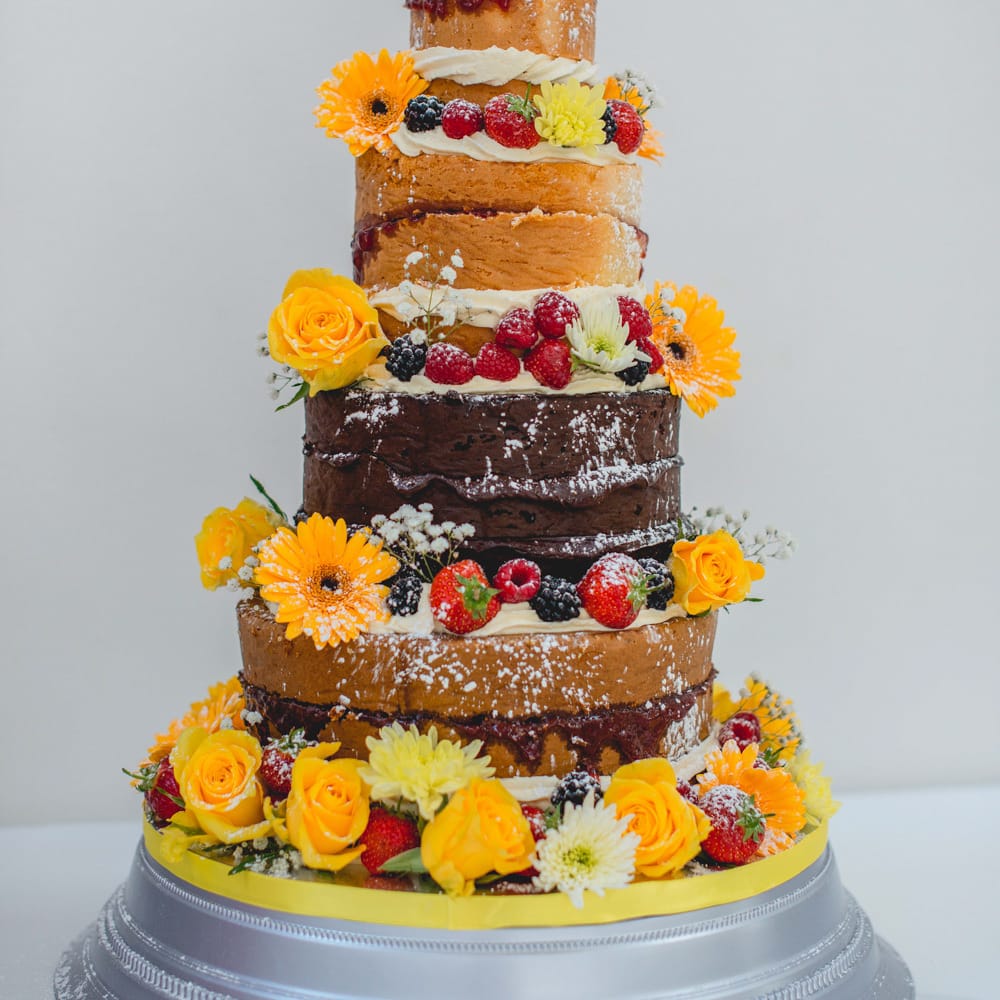 Image by <a href="https://www.lisacarpenterphotos.com" target="_blank">Lisa Carpenter Photography</a>