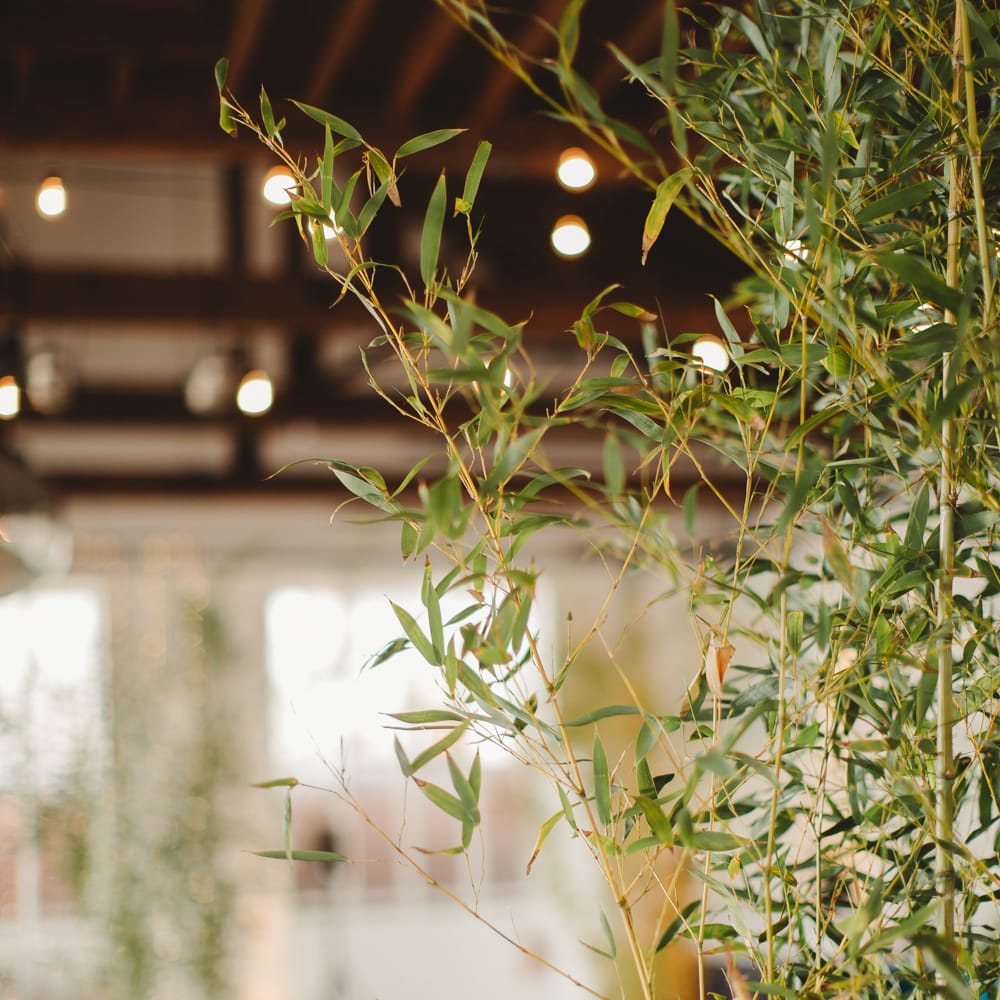 Warehouse Wedding With Wooden Chairs & Foliage Installation | Images by Frances Sales