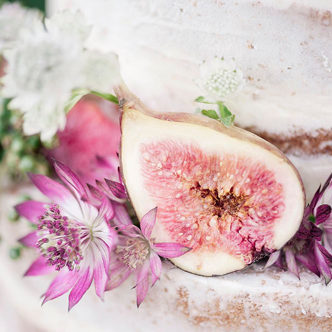 Image by <a href="https://www.kathrynhopkinsphotography.com/" target="_blank">Kathryn Hopkins Photography</a>