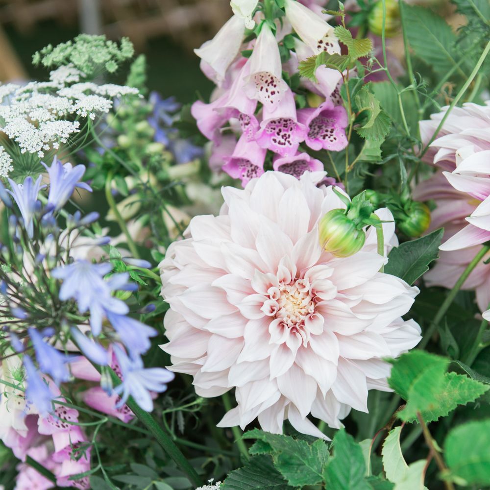 Dahlia Wedding Flowers