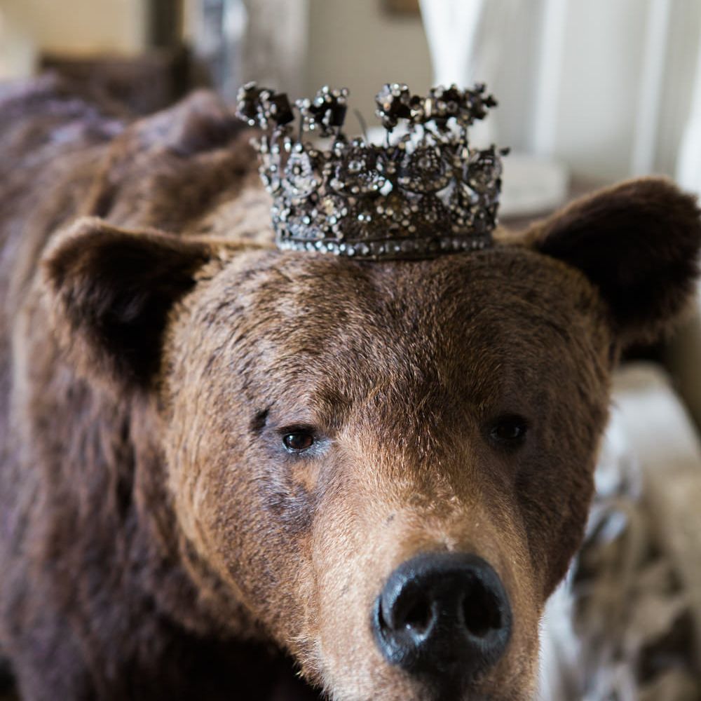 Bear with Crown | Elegant Blush Pink & White Wedding at Aynhoe Park in Oxfordshire | Lucy Davenport Photography