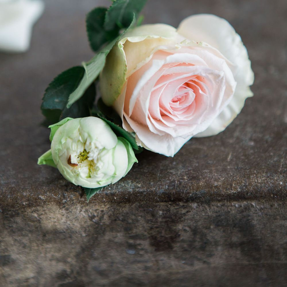 Delicate Pink Rose Buttonhole | Elegant Blush Pink & White Wedding at Aynhoe Park in Oxfordshire | Lucy Davenport Photography