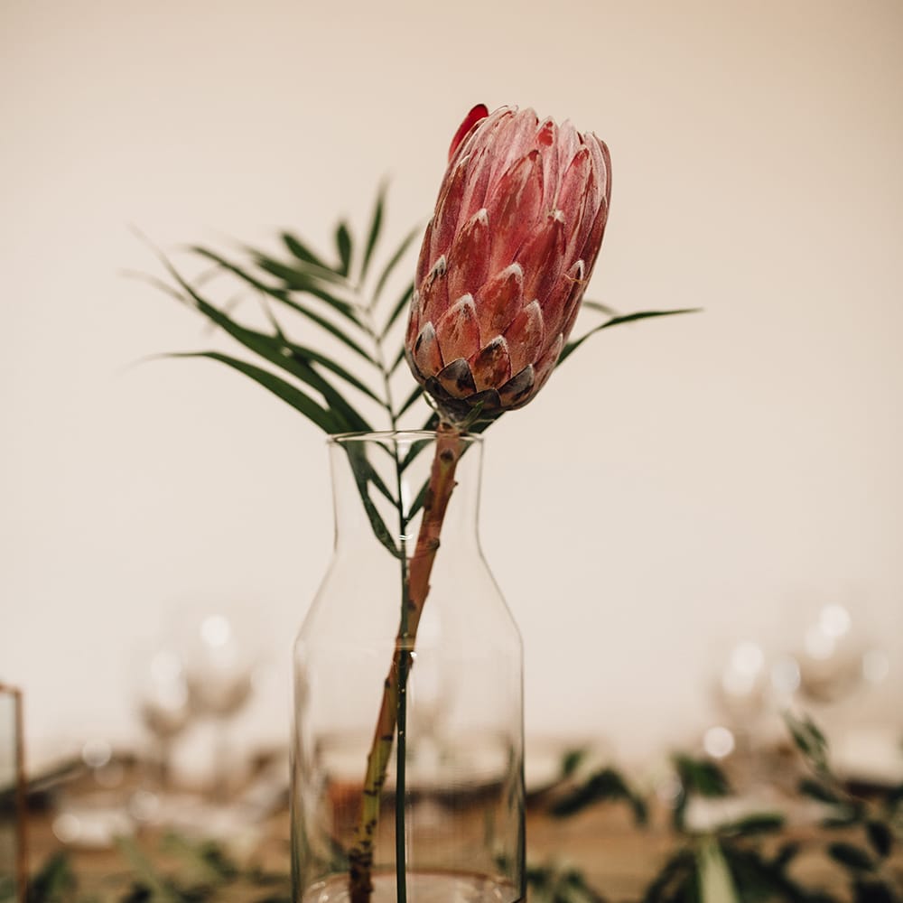 Single Stem Protea Flower Wedding Decor