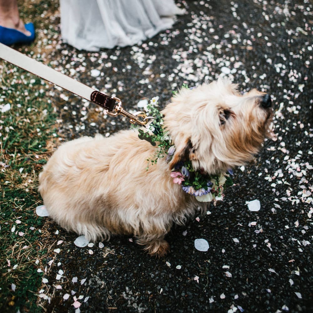 Rime Arodaky Bride For A Rustic Wild Flower Filled Wedding at Anran Devon With Mismatched Bridesmaids Dresses & Images From A Thing Like That Photography