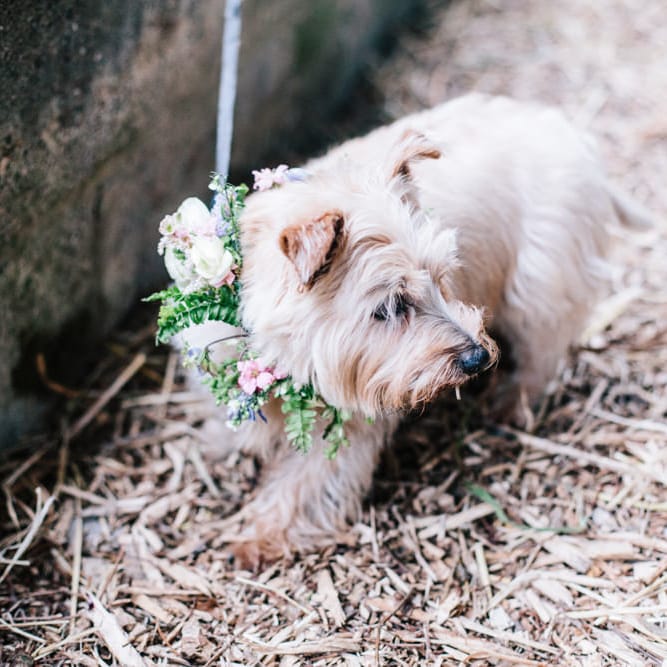 Rime Arodaky Bride For A Rustic Wild Flower Filled Wedding at Anran Devon With Mismatched Bridesmaids Dresses & Images From A Thing Like That Photography