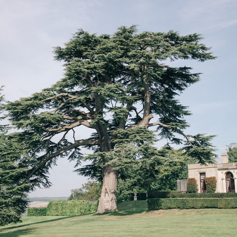 Elegant, Pastel Wedding at Hedsor House, Buckinghamshire | M & J Photography | Shoot It Yourself Films