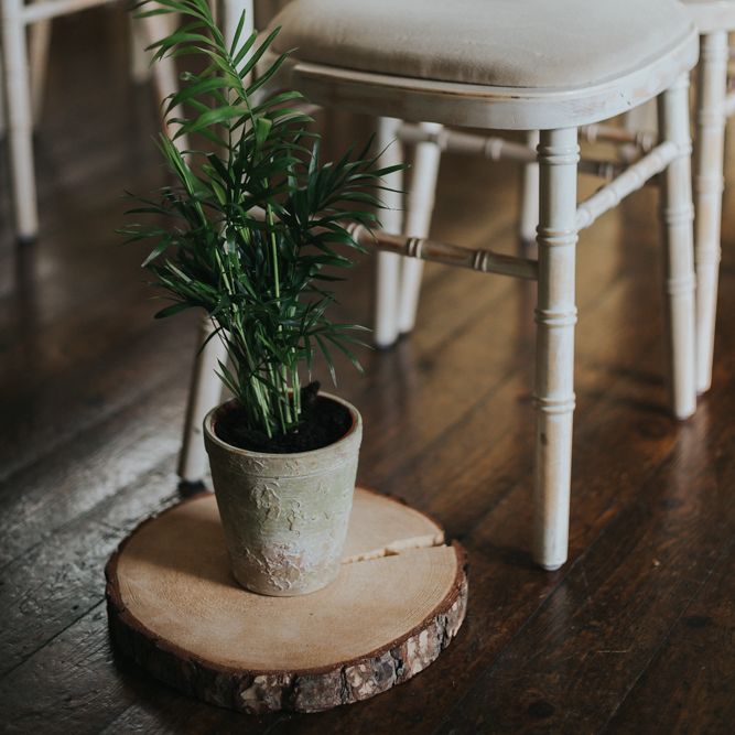 Tree Slice & Plant Aisle Decor | Classic Wedding at Yeldersley Hall in Derbyshire | Luis Calow Photography