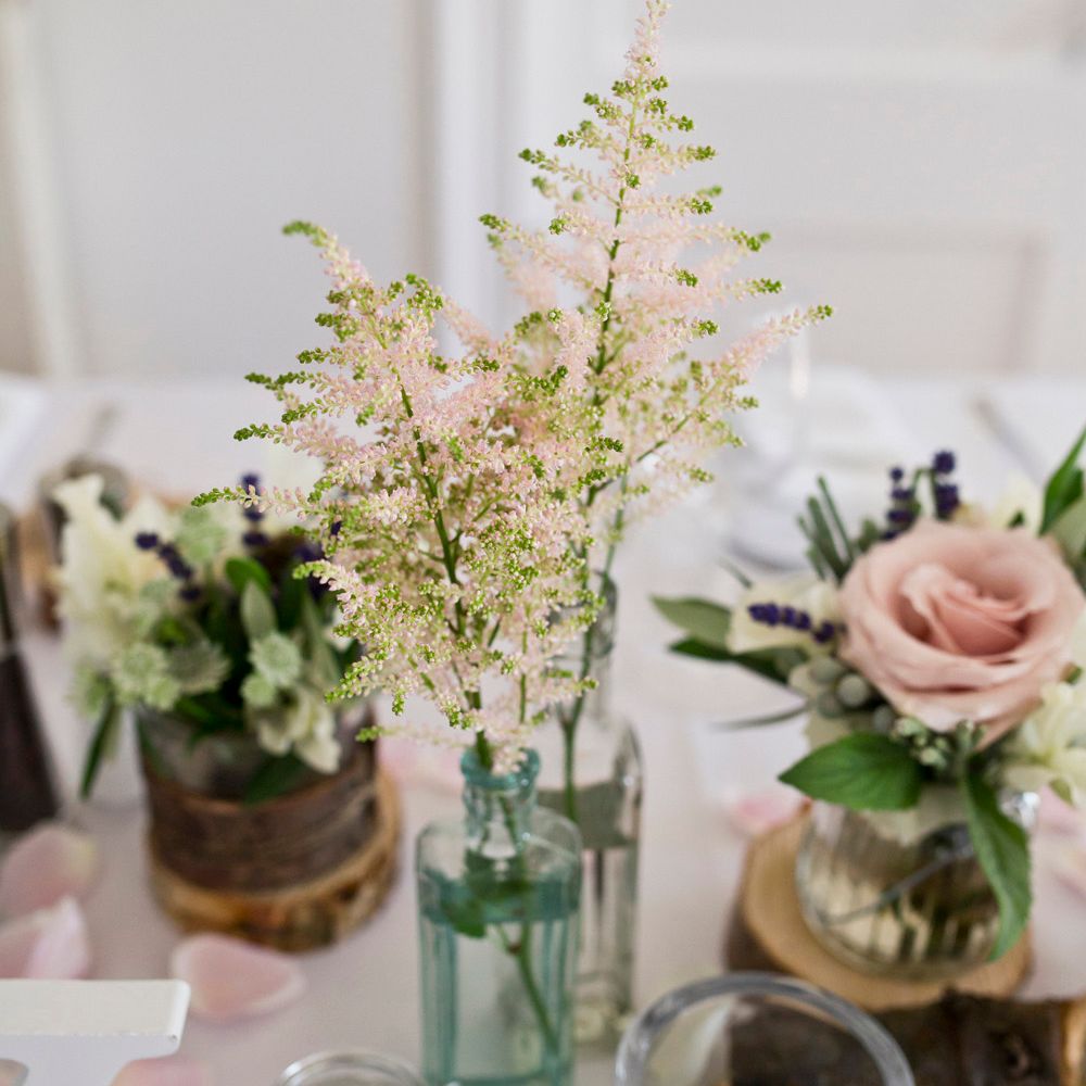 Image by <a href="https://www.mark tattersall.co.uk" target="_blank">Mark Tattersall Photography</a>