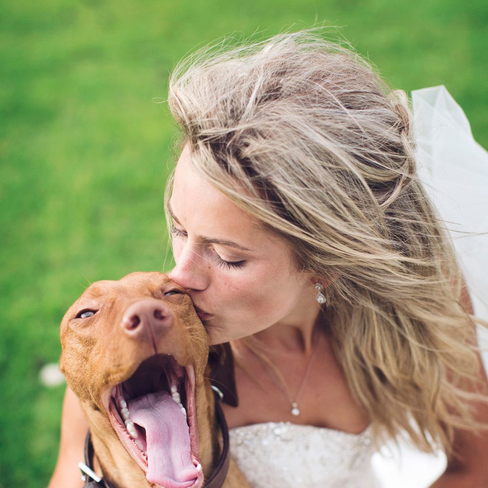 Image by <a href="https://www.mark tattersall.co.uk" target="_blank">Mark Tattersall Photography</a>