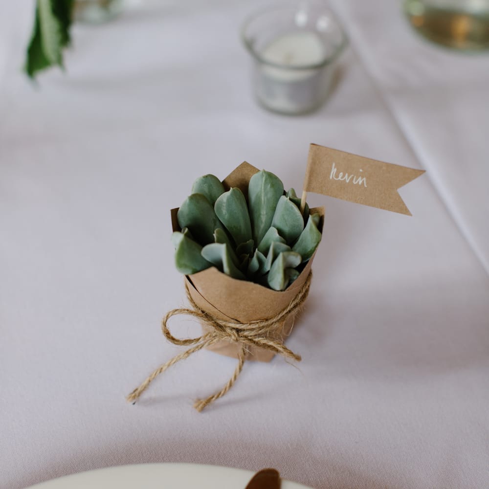 Foliage Filled Wedding At Colstoun East Lothian With Polytunnel Ceremony And Bridesmaids In Dusky Pink & Images From Caro Weiss Photography