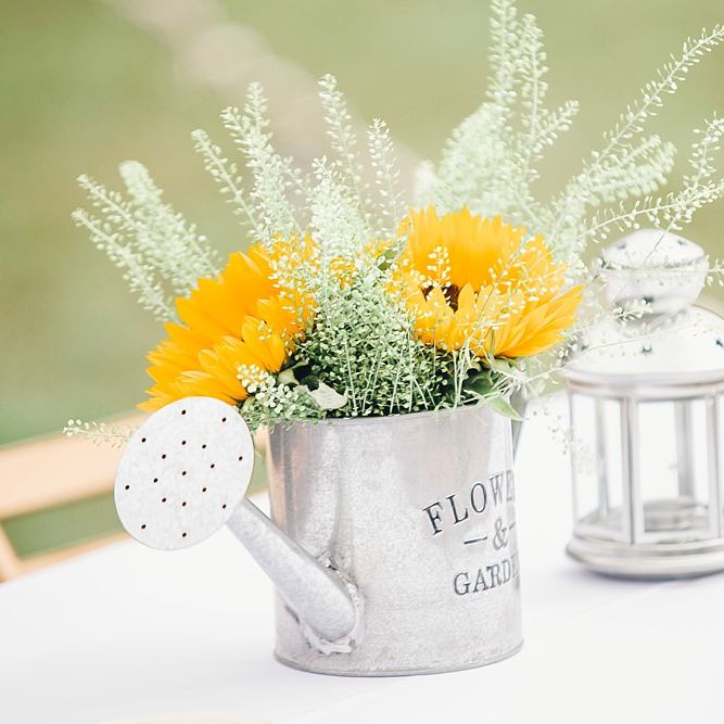 Image by <a href="https://www.jessicareeve photography.com/" target="_blank">Jessica Reeve Photography</a>