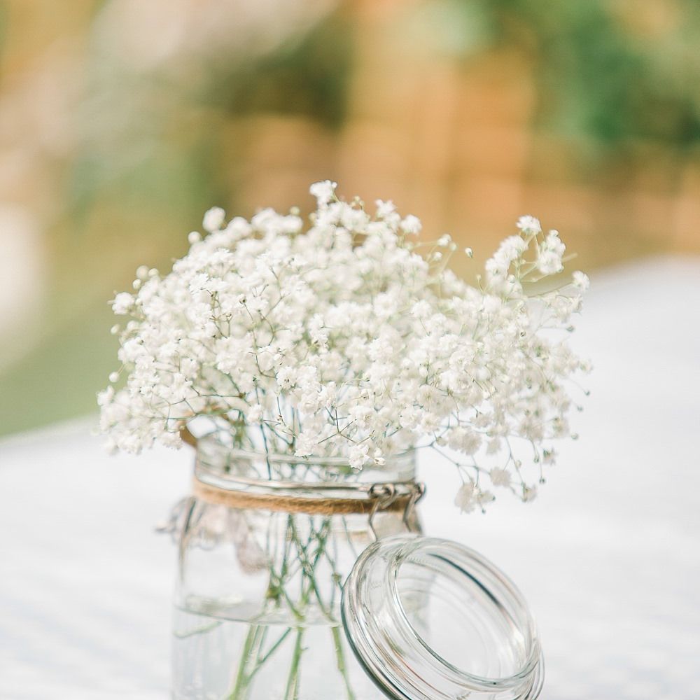 Image by <a href="https://www.jessicareeve photography.com/" target="_blank">Jessica Reeve Photography</a>