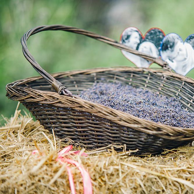 Image by <a href="https://www.jessicareeve photography.com/" target="_blank">Jessica Reeve Photography</a>