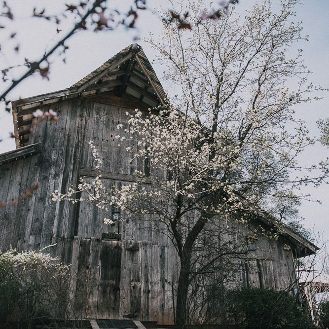 Cherry Blossom Filled Wedding With Bride In Bronze Watters Gown And Painted Floral Veil By BHLDN Venue Union Hill Inn California With Images By Matt Horan Photography