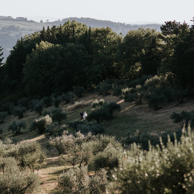 Fairy Light Canopy Wedding In Tuscany Italy Styled By Italian Eye And Photographed By Damien Milan Photography With Bride In Hayley Paige