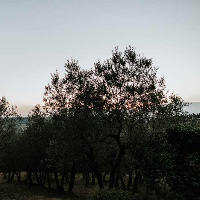 Fairy Light Canopy Wedding In Tuscany Italy Styled By Italian Eye And Photographed By Damien Milan Photography With Bride In Hayley Paige