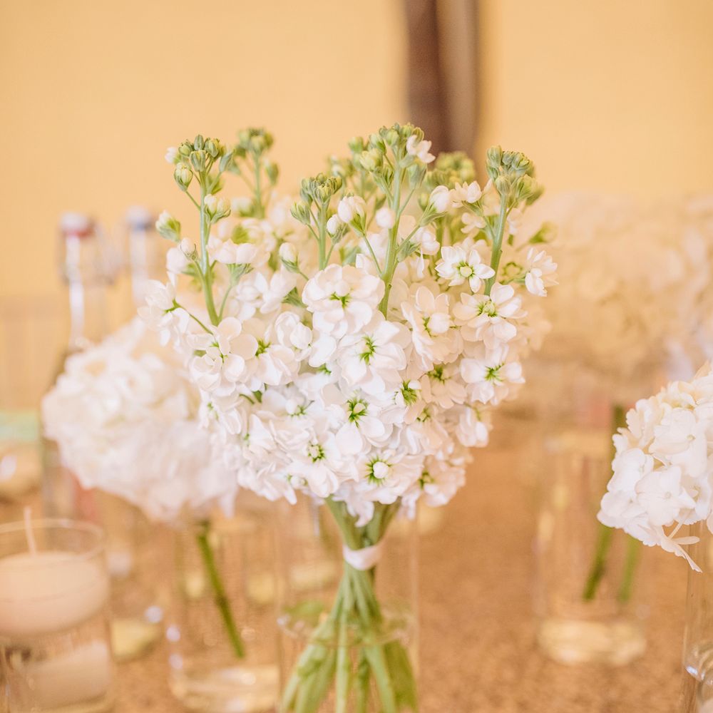 Image by <a href="https://www.mattethan.co.uk" target="_blank">Matt Ethan Photography</a>