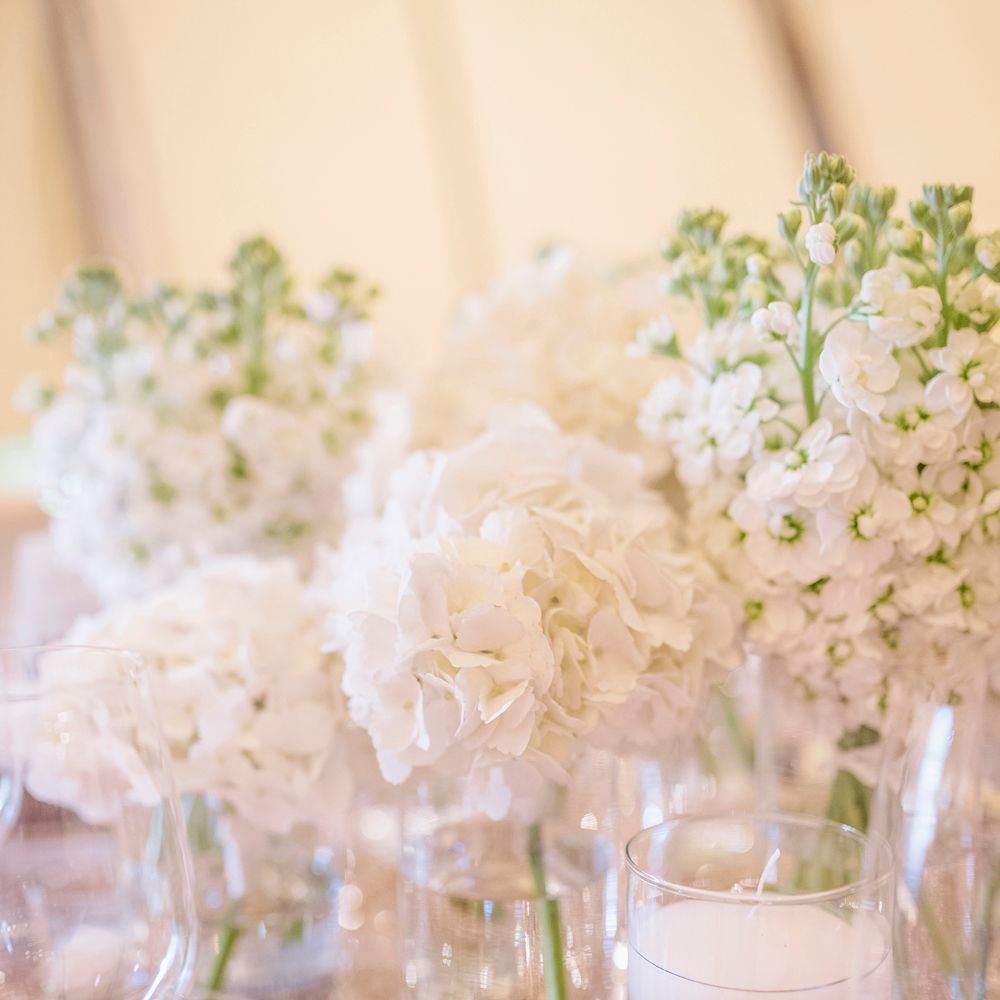 Image by <a href="https://www.mattethan.co.uk" target="_blank">Matt Ethan Photography</a>