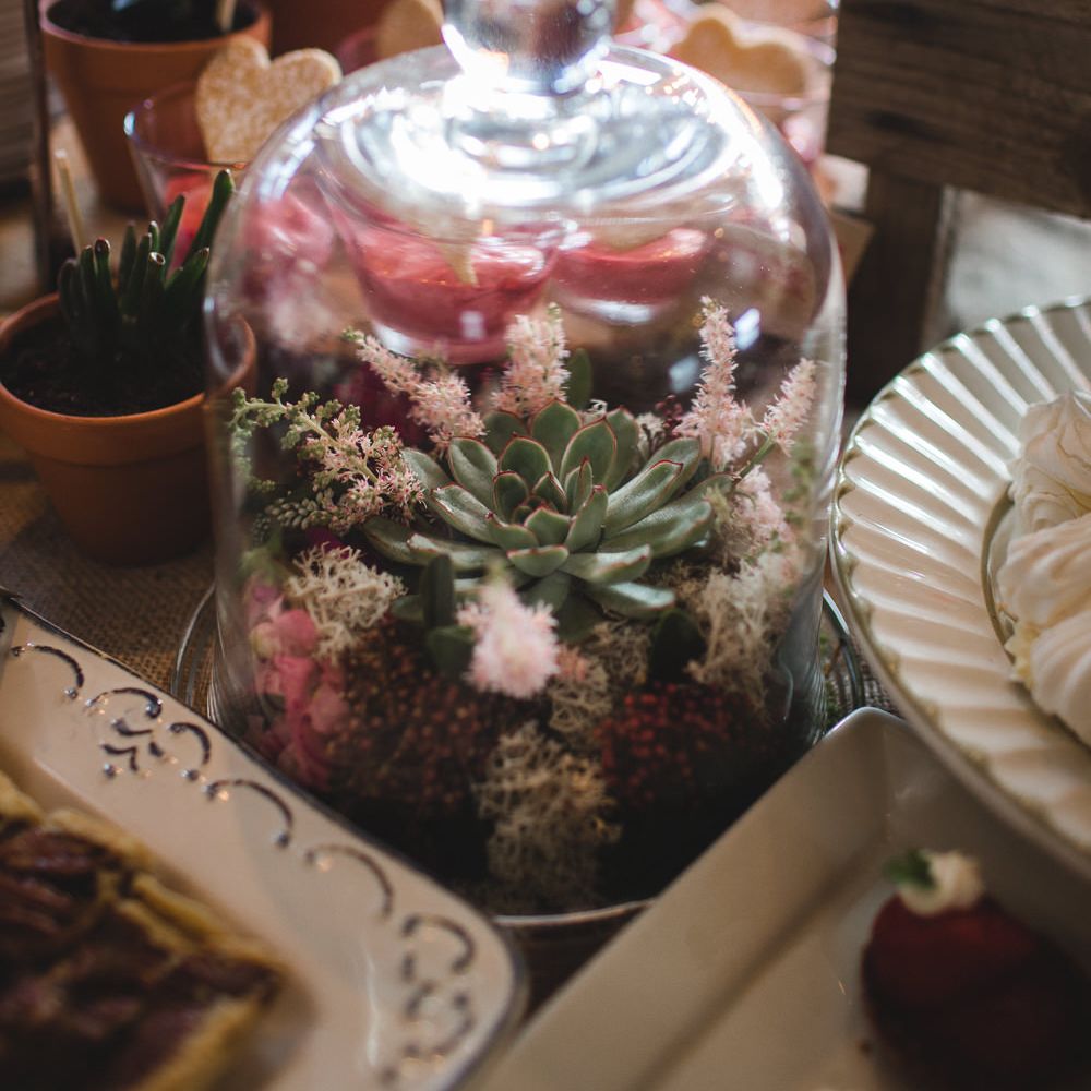 Image by <a href="https://www.kategrayphotography.com" target="_blank">Kate Gray Photography</a>