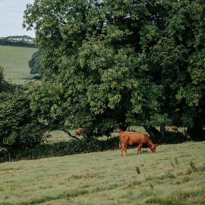 Nancarrow Farm Cornwall Wedding
