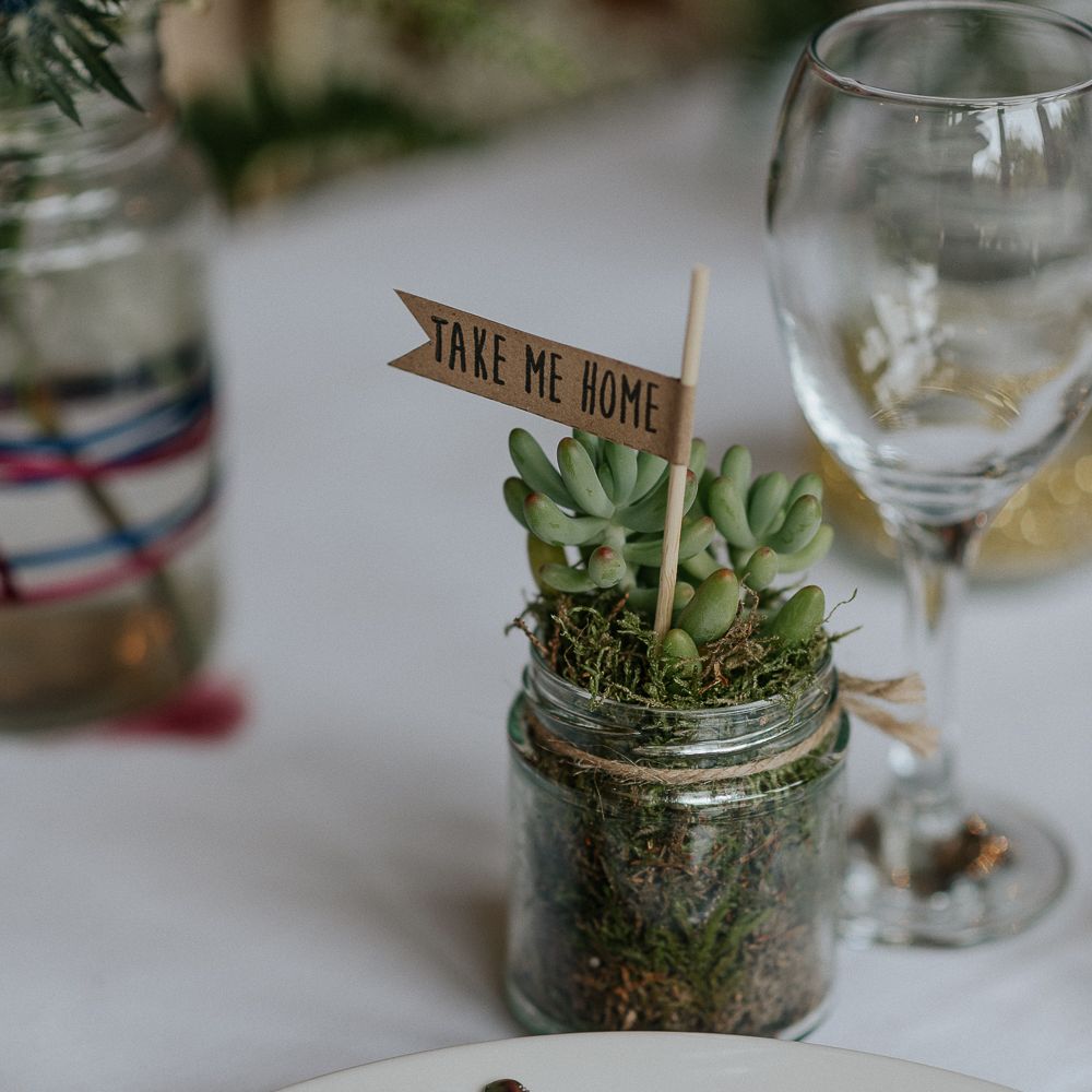 Succulent Wedding Favours