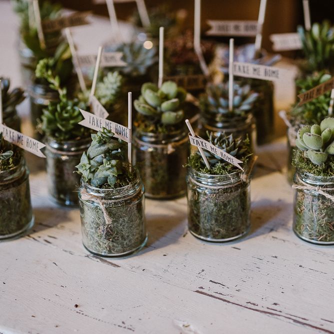 Succulent Wedding Favours