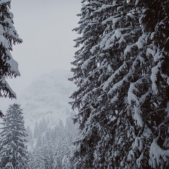 Snowy Winter Wedding In Bavaria