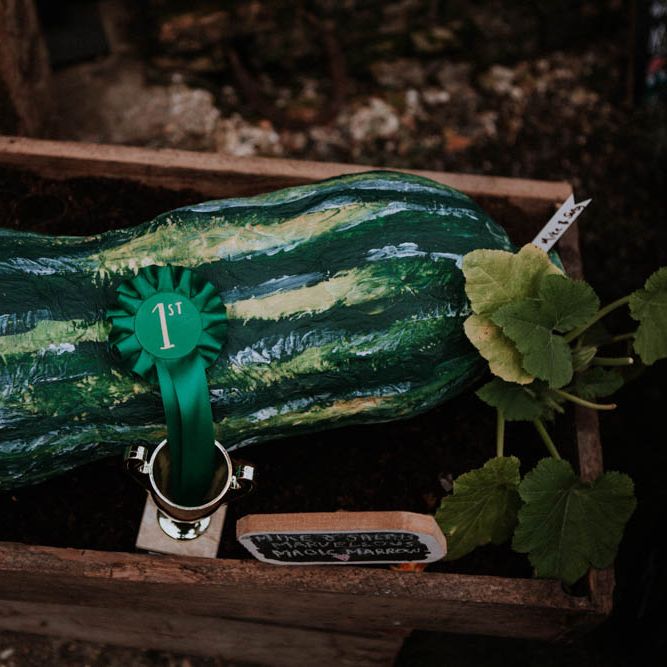 Prize Marrow Competition | Colourful DIY Barn Wedding at The Manor Barn, Cambridge | Meghan Lorna Photography