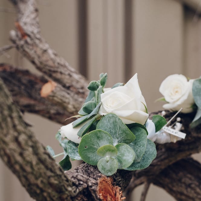 Rose & Eucalyptus Buttonhole
