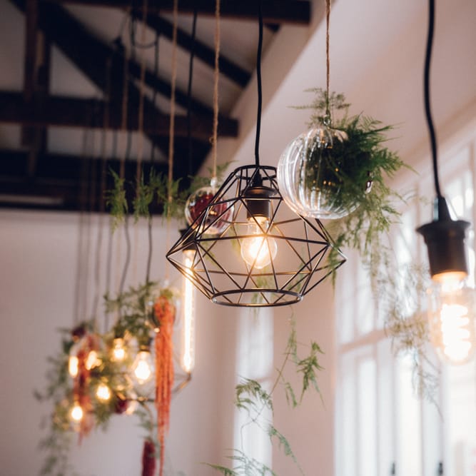 Hanging Lights