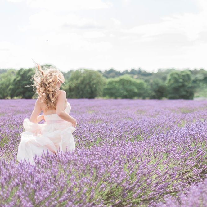 Image by <a href="https://www.fantonphotography.com/" target="_blank">Amy Fanton Photography</a>