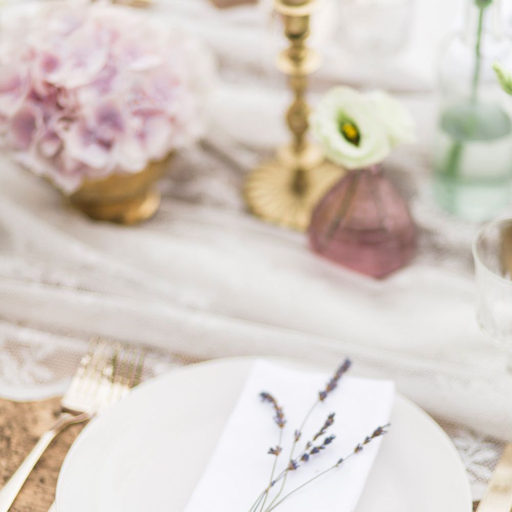 Image by <a href="https://www.fantonphotography.com/" target="_blank">Amy Fanton Photography</a>