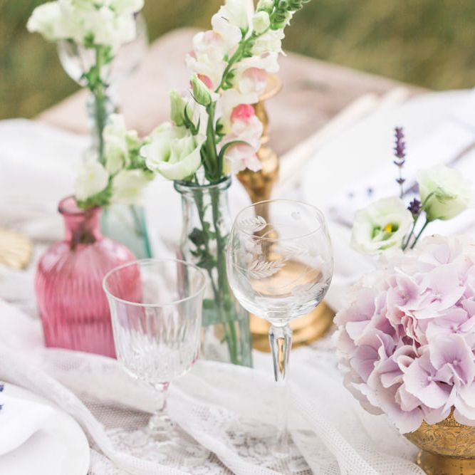 Image by <a href="https://www.fantonphotography.com/" target="_blank">Amy Fanton Photography</a>